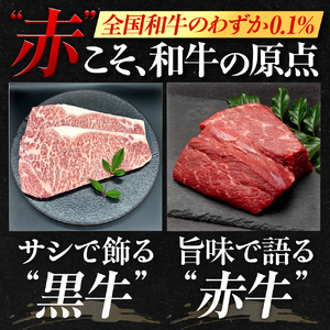希少あかうし 土佐あかうし ハンバーグ 2.0kg 2kg 200g × 10個 合い挽きハンバーグ 冷凍 真空 小分け 個包装 肉汁 たっぷり 大容量 大きめ 合挽き 牛肉 豚肉 保存料 不使用 ビーフ ポーク 合いびき肉 挽肉 おかず 惣菜 晩ごはん 贅沢 お取り寄せ 肉 ギフト 人気 高知県 須崎市 お惣菜 はんばーぐ hannba-gu