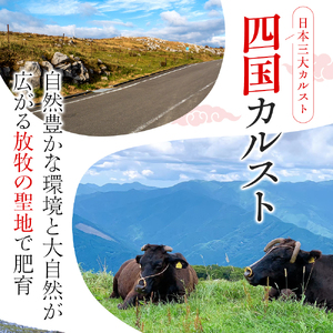 希少あかうし 土佐あかうし ハンバーグ 2.0kg 2kg 200g × 10個 合い挽きハンバーグ 冷凍 真空 小分け 個包装 肉汁 たっぷり 大容量 大きめ 合挽き 牛肉 豚肉 保存料 不使用 ビーフ ポーク 合いびき肉 挽肉 おかず 惣菜 晩ごはん 贅沢 お取り寄せ 肉 ギフト 人気 高知県 須崎市 お惣菜 はんばーぐ hannba-gu