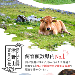 希少あかうし 土佐あかうし ハンバーグ 2.0kg 2kg 200g × 10個 合い挽きハンバーグ 冷凍 真空 小分け 個包装 肉汁 たっぷり 大容量 大きめ 合挽き 牛肉 豚肉 保存料 不使用 ビーフ ポーク 合いびき肉 挽肉 おかず 惣菜 晩ごはん 贅沢 お取り寄せ 肉 ギフト 人気 高知県 須崎市 お惣菜 はんばーぐ hannba-gu
