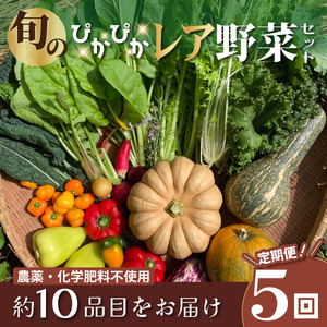 農薬化学肥料不使用 雲の上ガーデンのぴかぴか野菜セット（５回お届け）季節にあわせて10品目前後を毎月お届け【L002】季節 旬 詰め合わせ 採れたて 新鮮 産地直送 高知県産 冷蔵便 定期便