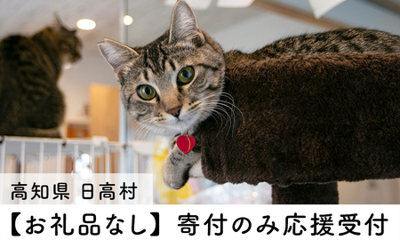 【お礼の品なし】里親募集型 保護猫カフェの支援（動物愛護） 保護ねこ 保護猫 支援 里親 寄付 にゃんこメリー 保護猫活動 応援