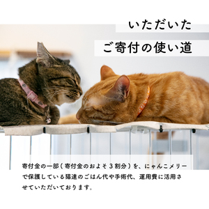 【お礼の品なし】里親募集型 保護猫カフェの支援（動物愛護） 保護ねこ 保護猫 支援 里親 寄付 にゃんこメリー 保護猫活動 応援