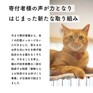 【お礼の品なし】里親募集型 保護猫カフェの支援（動物愛護） 保護ねこ 保護猫 支援 里親 寄付 にゃんこメリー 保護猫活動 応援