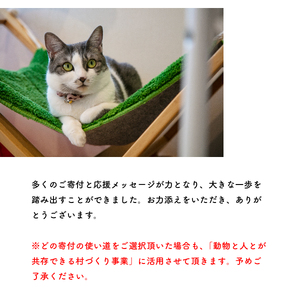 【お礼の品なし】里親募集型 保護猫カフェの支援（動物愛護） 保護ねこ 保護猫 支援 里親 寄付 にゃんこメリー 保護猫活動 応援