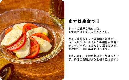 フルーツトマト 2kg 産地直送 個性派　高知県産 大玉 完熟 甘い 新鮮トマト