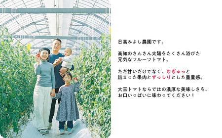 フルーツトマト 2kg 産地直送 個性派　高知県産 大玉 完熟 甘い 新鮮トマト