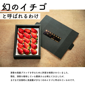 【先行予約・2026年2月】数量限定 いちご 清香 1箱（約450g） 希少品種 限定品 苺 産地直送 農家直送 甘い 大きい 果物 いちご 苺 イチゴ いちご