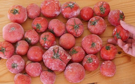 【訳あり】冷凍トマト・お試し30個／約1.5kg 冷凍で皮むき簡単。保存がきく！