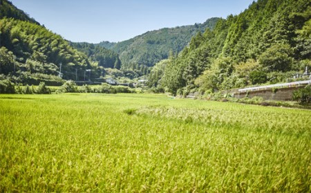 だっぱん米 高知県産 にこまる 龍馬脱藩の道がある村でとれたお米（精米2kg×2袋）