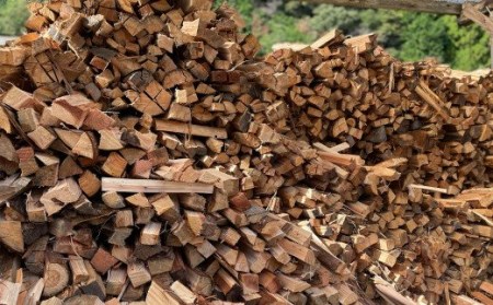 乾燥薪 針葉樹 細割り（杉など） キャンプ アウトドア 焚火 高知県産 杉 薪 小割