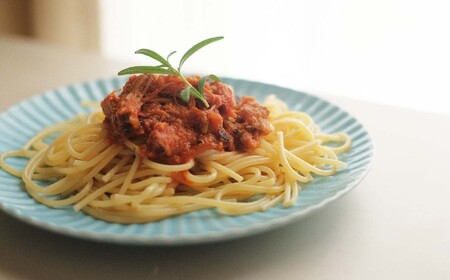 ほろほろ食感のプルドポーク（100g×5パック） トマトBBQソース 豚肉 家庭料理 やわらかい 冷凍 高知 ブランド豚 お惣菜 レトルト アレンジ ソース