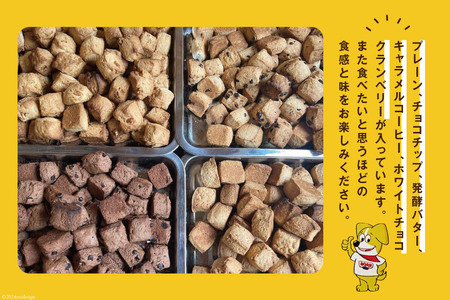 ザクザク スコーン オススメ10コセット(1) (プレーン チョコチップ 発酵バター キャラメルコーヒー ホワイトチョコクランベリー)各2個 計10個[JACKSONスコーンズ 高知県 津野町 26ab0001]