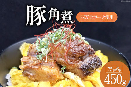 満天の星特製 角煮 (四万十ポーク使用)75g×6袋[株式会社満天の星 高知県 津野町 26ac0005]