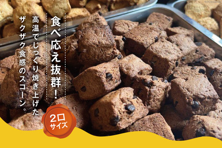 ザクザク！ 「ハッピースコーン」14コ入り×2セット [JACKSONスコーンズ 高知県 津野町 26ab0006]