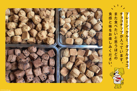 ザクザク！ 「ハッピースコーン」14コ入り×2セット [JACKSONスコーンズ 高知県 津野町 26ab0006]