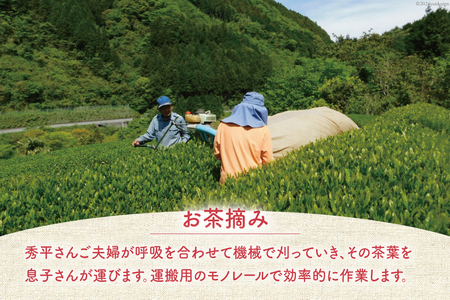 四万十紅茶＜ティーバッグ＞2.5g×12個入り×3袋 [秀平農園 高知県 津野町 26am0001]