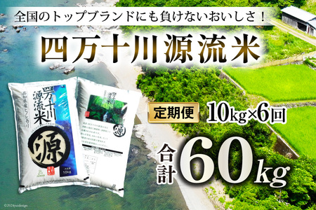 全6回 定期便 米 四万十川源流米・精米 10kg×6回 計60kg [JA高知県高西営農経済センター津野山経済課 高知県 津野町 26ah0010] お米 こめ おこめ 定期 毎月