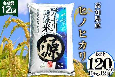 全12回 定期便 米 四万十川源流米・精米 10kg×12回 計120kg [JA高知県高西営農経済センター津野山経済課 高知県 津野町 26ah0011] お米 こめ おこめ 定期 毎月