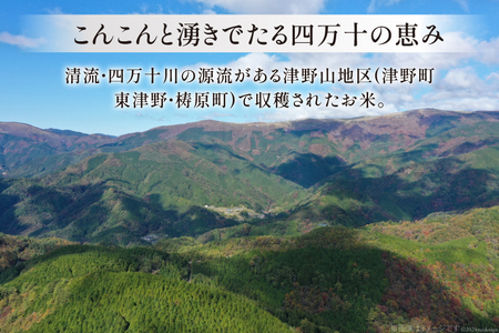 四万十川源流米 10kg [JA高知県高西営農経済センター津野山経済課 高知県 津野町 26ah0014] こめ コメ お米 おこめ 精米 ごはん