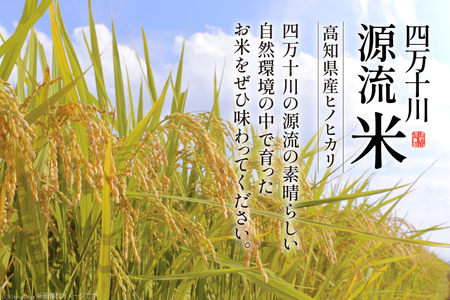 四万十川源流米 10kg [JA高知県高西営農経済センター津野山経済課 高知県 津野町 26ah0014] こめ コメ お米 おこめ 精米 ごはん