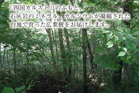 四万十源流 松ちゃんの薪 18kg～20kg [イブ・ハート 高知県 津野町 26ax0001]