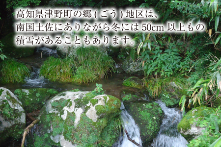 四万十源流 松ちゃんの薪 18kg～20kg [イブ・ハート 高知県 津野町 26ax0001]