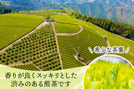 香煎 3種セット 香り高い煎茶とフレーバーティー(煎茶)セット(煎茶 50g ゆずレモン香茶・白桃の香茶 各2g×6袋 計24g） [大丸茶舗 高知県 津野町 26az0002]