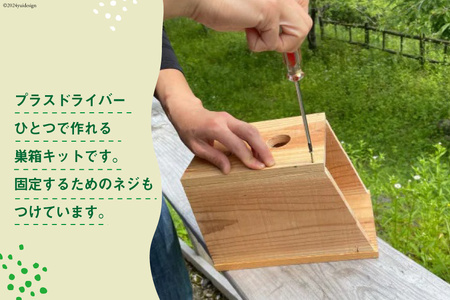 鳥の巣箱キット 夏休みの自由研究・宿題・工作に 手作り 1セット [有限会社谷脇工業(フォレストアドベンチャー高知) 高知県 津野町 26bc0008]