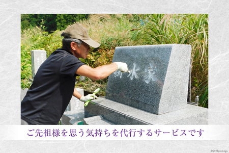 墓石・石碑洗浄 1基 [デトックスストーンズカンパニー 高知県 津野町 26bh0001]