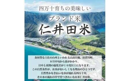 【令和7年産米】 四万十育ちの美味しい仁井田米（香り米入り）定期便【3kg×12回】 新米 仁井田米 米 こめ コメ お米 おこめ ブランド米 白米 ／Rbmu-E05