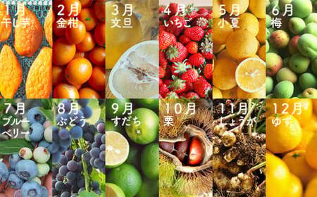 【2026年先行予約】1年かけた四万十の旬でつくる シュトーレン （2本セット） スイーツ お菓子 ケーキ 焼き菓子 洋菓子