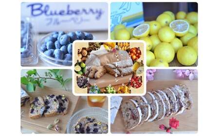 【全６回】四万十の旬のシュトーレンと果実の1年定期便 タルト スイーツ 洋菓子 ケーキ パン／Sikg-Z09