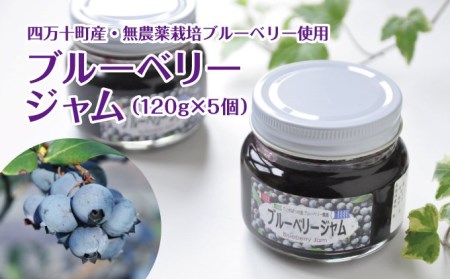 【無農薬ブルーベリー使用】手づくりブルーベリージャム(120g×5個) Qdr-60