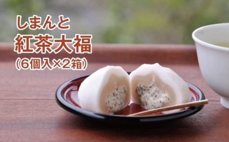 しまんと紅茶大福(6個入✕2箱) Qdr-64