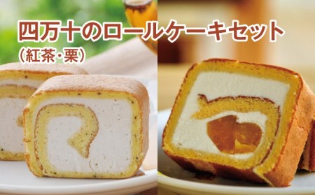 四万十のロールケーキセット 紅茶 栗 Qdr 65 高知県四万十町 ふるさと納税サイト ふるなび