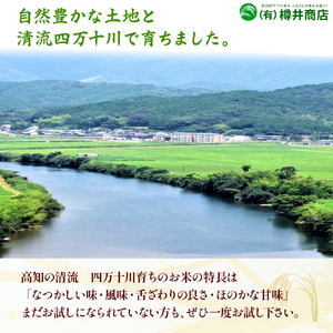 【令和7年産米】樽井商店のヒノヒカリ(3kg)Bti-F07/ 新米 お米 ブランド米 ヒノヒカリ ご飯