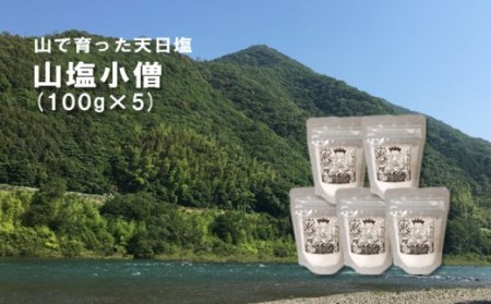 山で育った天日塩「山塩小僧」(100g×5袋) Lsm-03