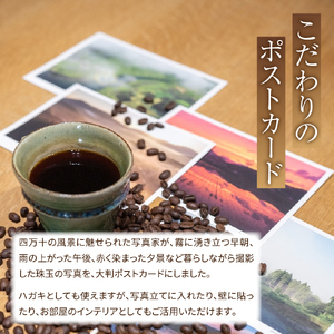 【オーガニック自家焙煎コーヒー豆400g】＋【写真家が撮影した四万十川流域のB6大判ポストカード5枚】／Lip-03