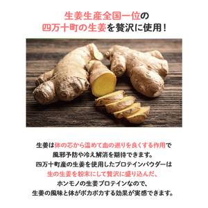 四万十町産生姜をたっぷり使用！クラファン291%達成の生姜プロテイン 2袋 ／Org-A05 しょうが しょうがプロテイン 加工食品 プロテイン 健康食品 美容 ダイエット体づくり 筋トレ