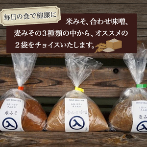 井上糀店の味噌と糀商品のセット （600g） 手作り味噌 無添加 高知県産米 国産大豆 冷蔵 ／Lik-A11