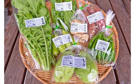 【栽培期間中、農薬・化学肥料不使用】桐島畑の季節野菜詰め合わせ(7種類) Fkh-10 ／ やさい 国産野菜 四万十 高知 季節 フレッシュ 旬 無農薬 有機農業