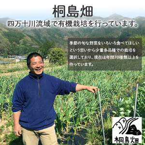 【栽培期間中、農薬・化学肥料不使用】桐島畑の季節野菜詰め合わせ(7種類) Fkh-10 ／ やさい 国産野菜 四万十 高知 季節 フレッシュ 旬 無農薬 有機農業
