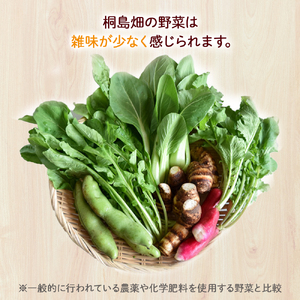 【栽培期間中、農薬・化学肥料不使用】桐島畑の季節野菜詰め合わせ(7種類) Fkh-10 ／ やさい 国産野菜 四万十 高知 季節 フレッシュ 旬 無農薬 有機農業