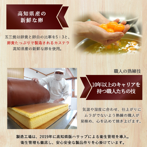 特製米粉かすてら 四万十五三焼 （約250g×3本） カステラ かすてら 米粉カステラ スイーツ 菓子 洋菓子 ギフト スイーツギフト 贈答 Bmu-78