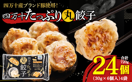 四万十産ブランド豚使用！四万十たっぷり丸餃子 4袋（30g×6個入)合計720g ／Qak-43 餃子 生餃子 ブランド豚