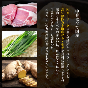 四万十産ブランド豚使用！四万十たっぷり丸餃子 4袋（30g×6個入)合計720g ／Qak-43 餃子 生餃子 ブランド豚