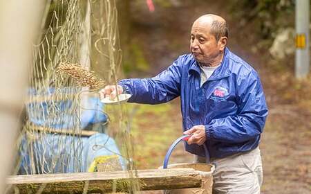 焼くだけ簡単！無投薬で四万十育ちのあめごの開き　大サイズ6匹 Eay-05　おつまみ バーベキュー BBQ アウトドア アメゴ アマゴ 魚 魚介 川魚 塩焼き あめご あまご 開き 干物 干物 干物 干物 干物 干物