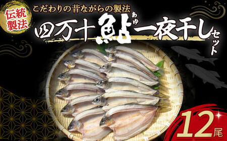 四万十鮎 一夜干し 12尾セット 鮎 アユ あゆ 一夜干し 干物 国産 無添加 冷凍 四万十町 高知 鮎 ／Ess-14