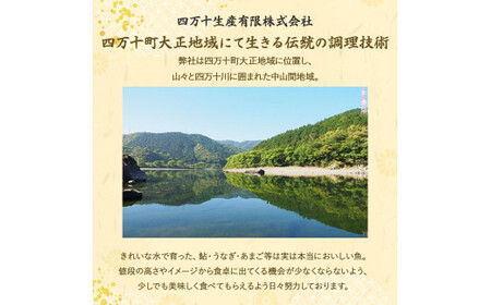 藁焼き かつおタタキ 2節セット（600g） わら焼き 6人前 高知 藁焼き 戻り鰹 鰹 船上凍結 鮮度良好 ポン酢付き タレ付き 四万十町 小分け 冷凍 ／Ess-17