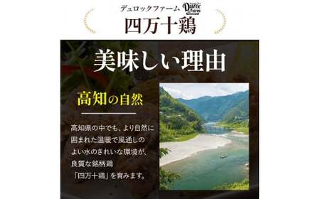 高知育ちの銘柄鶏 四万十鶏 もも肉 1kg 国産 国産鶏肉 肉 お肉 鶏肉 とりにく 鳥肉 鶏モモ 鶏もも 冷凍 唐揚げ ／Adf-A29